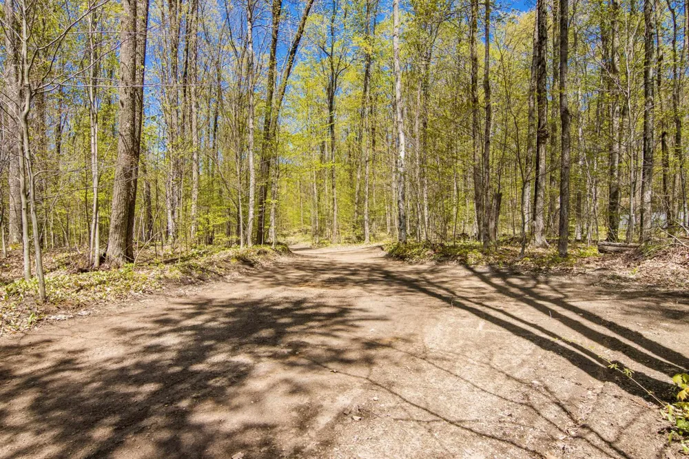 W Elder Custer Township, MI 49659