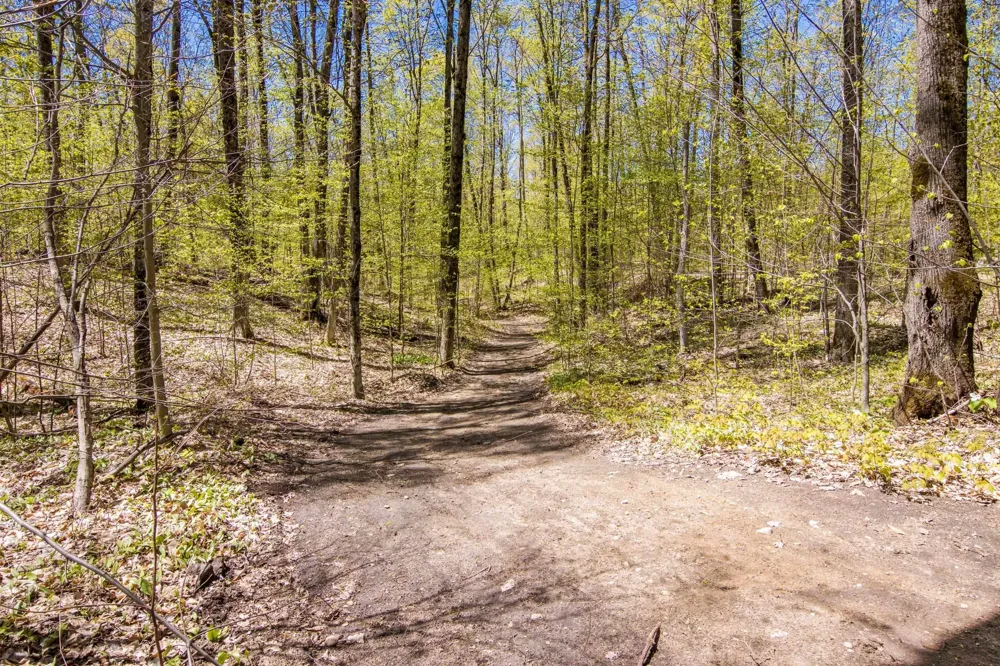 W Elder Custer Township, MI 49659