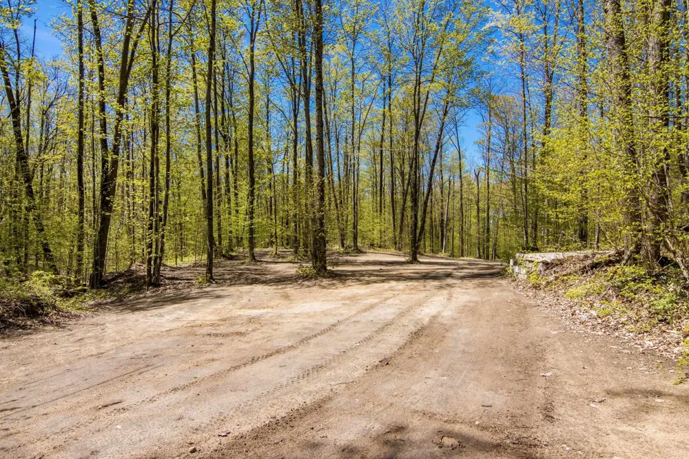 W Elder Custer Township, MI 49659