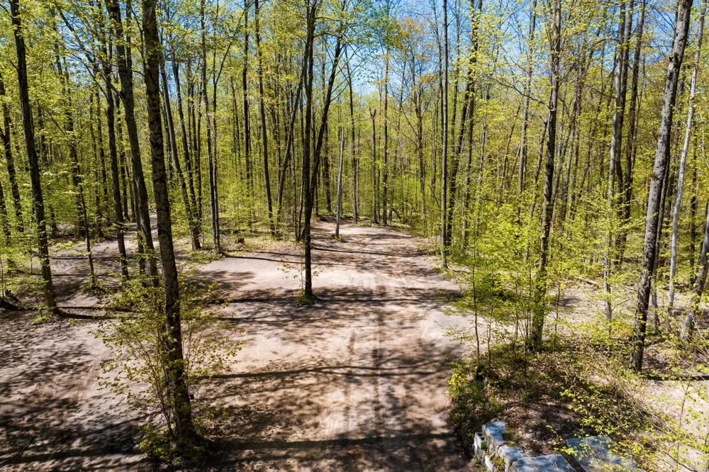 W Elder Custer Township, MI 49659