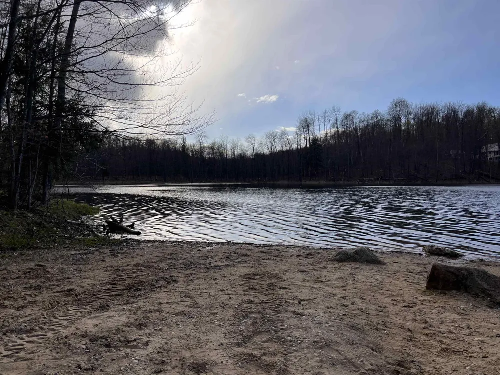 W Elder Custer Township, MI 49659