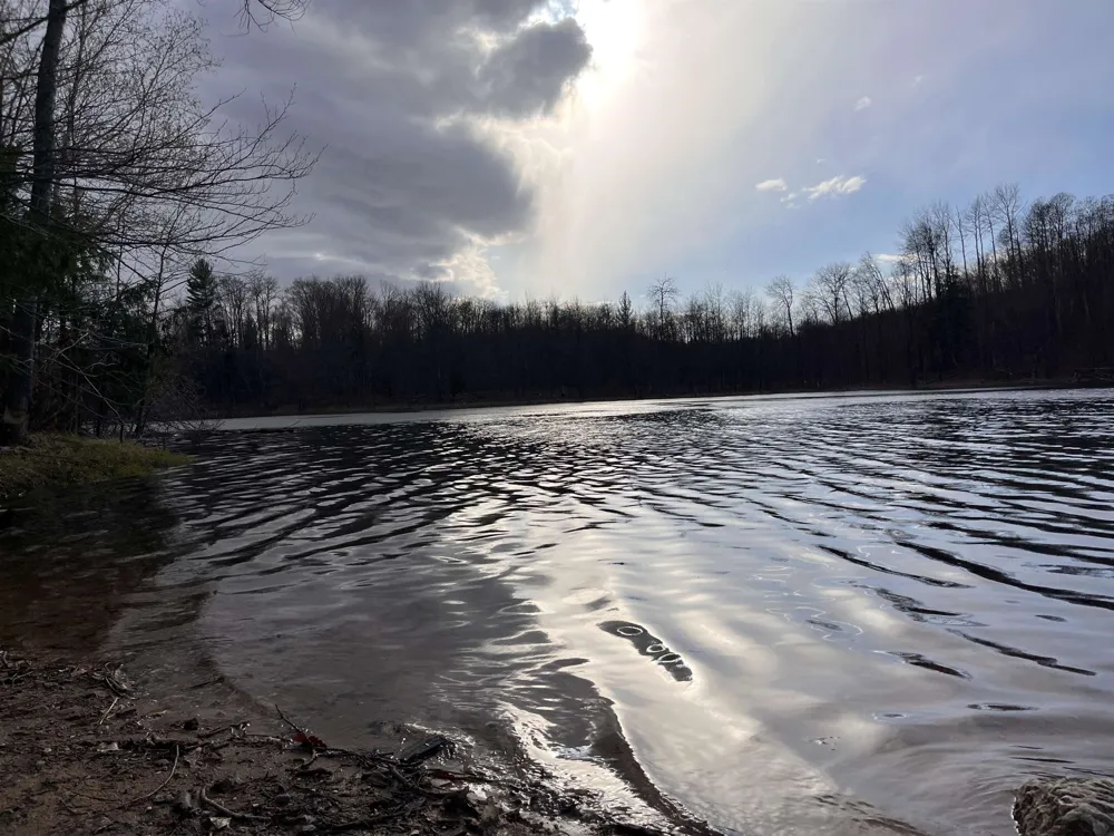 W Elder Custer Township, MI 49659