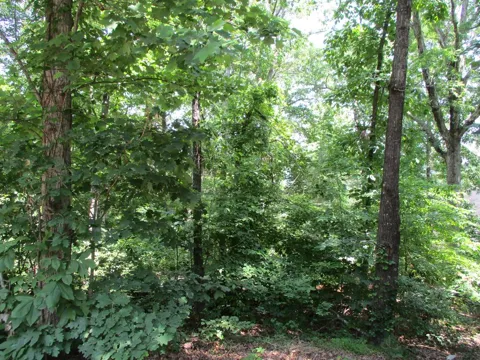74A Licklog Ridge