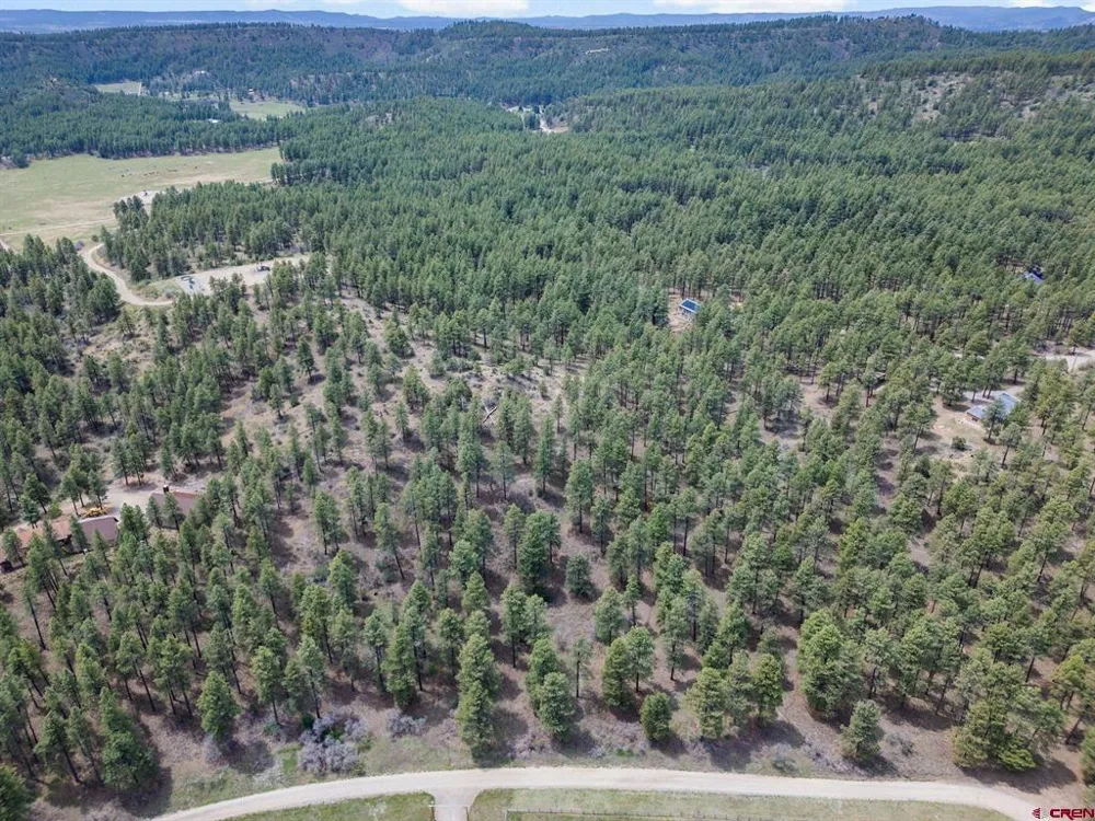 135 Meadow Lane Bayfield, CO 81122