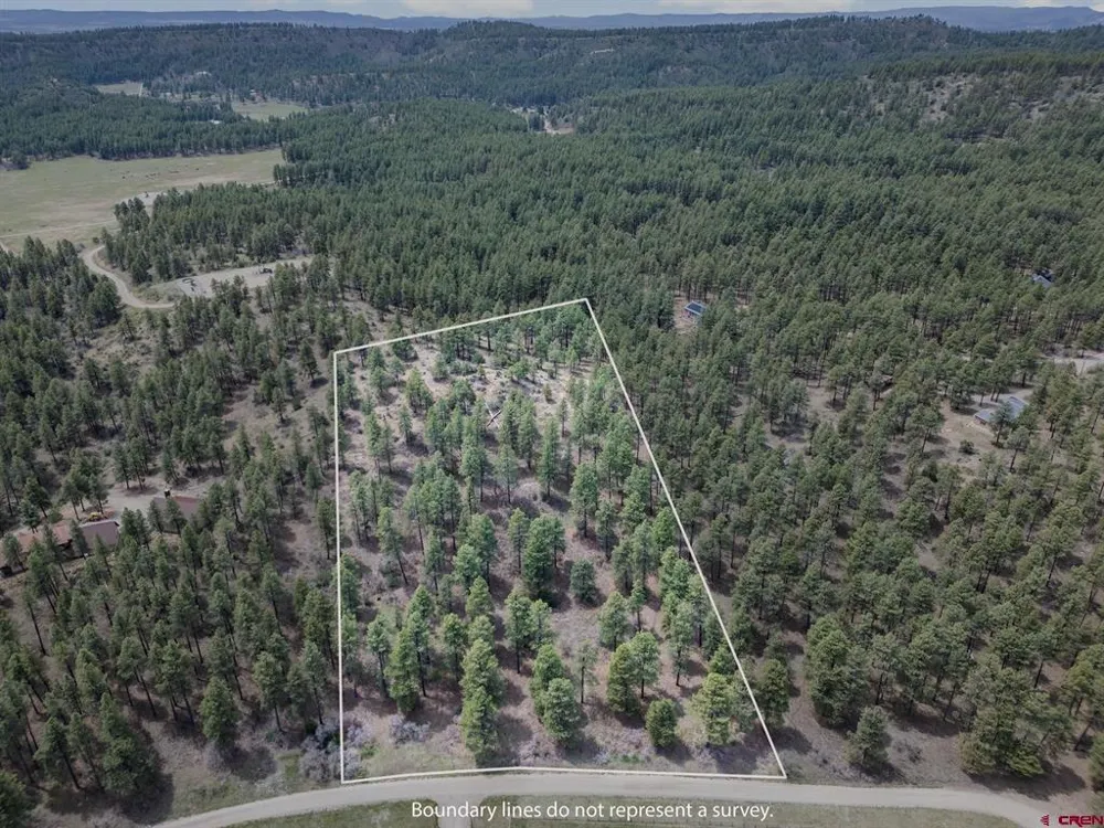 135 Meadow Lane Bayfield, CO 81122