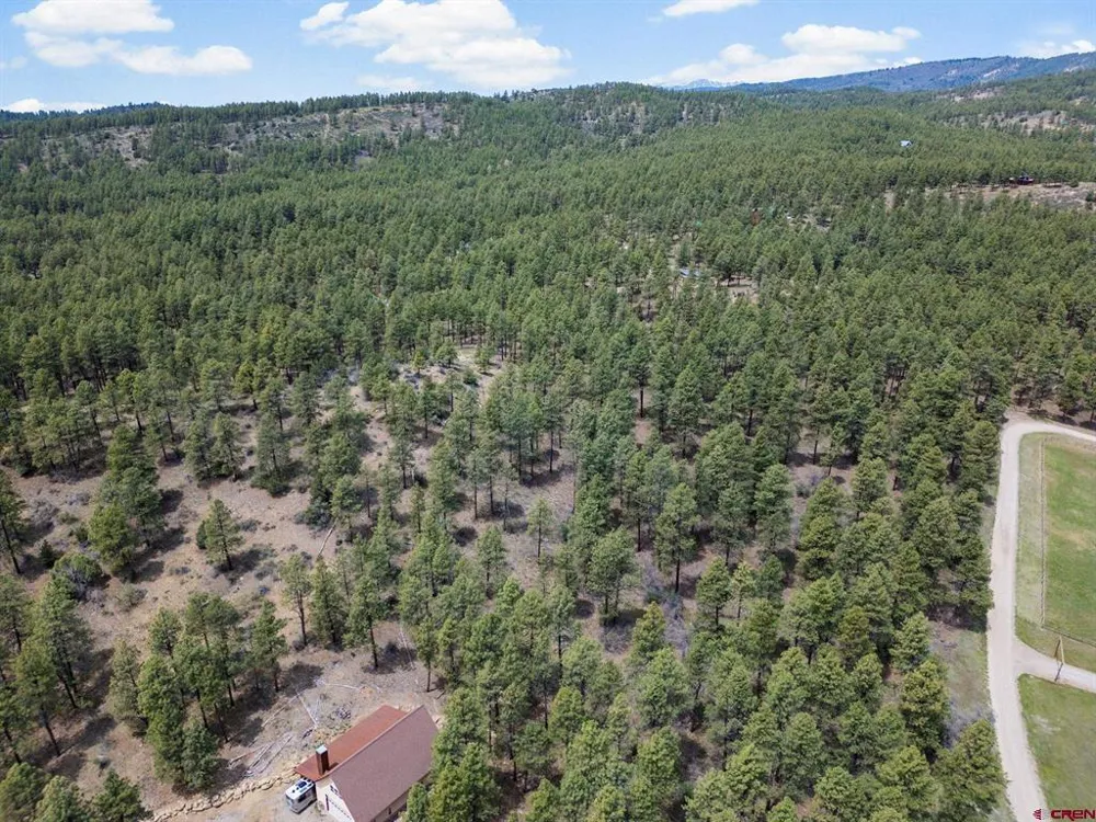 135 Meadow Lane Bayfield, CO 81122