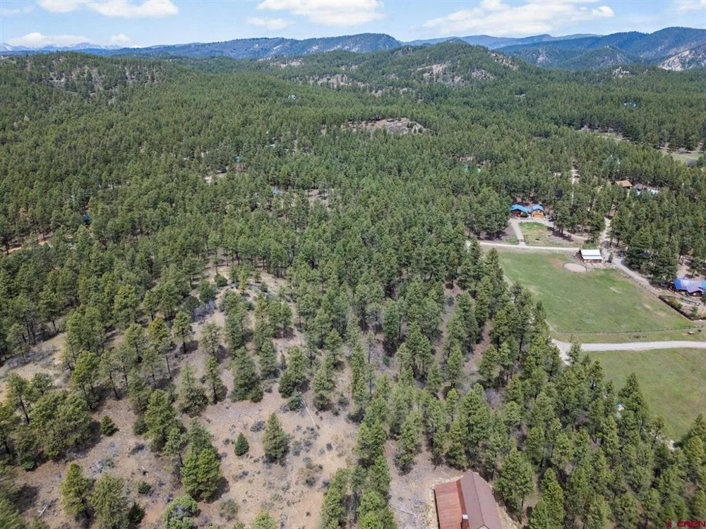 135 Meadow Lane Bayfield, CO 81122