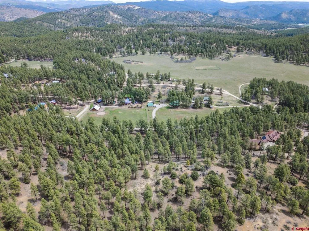 135 Meadow Lane Bayfield, CO 81122