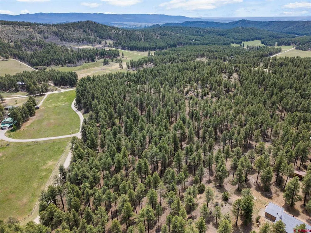 135 Meadow Lane Bayfield, CO 81122