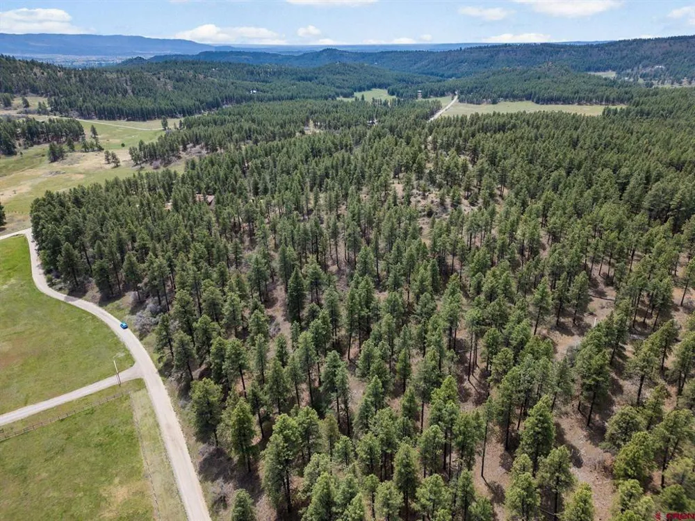 135 Meadow Lane Bayfield, CO 81122