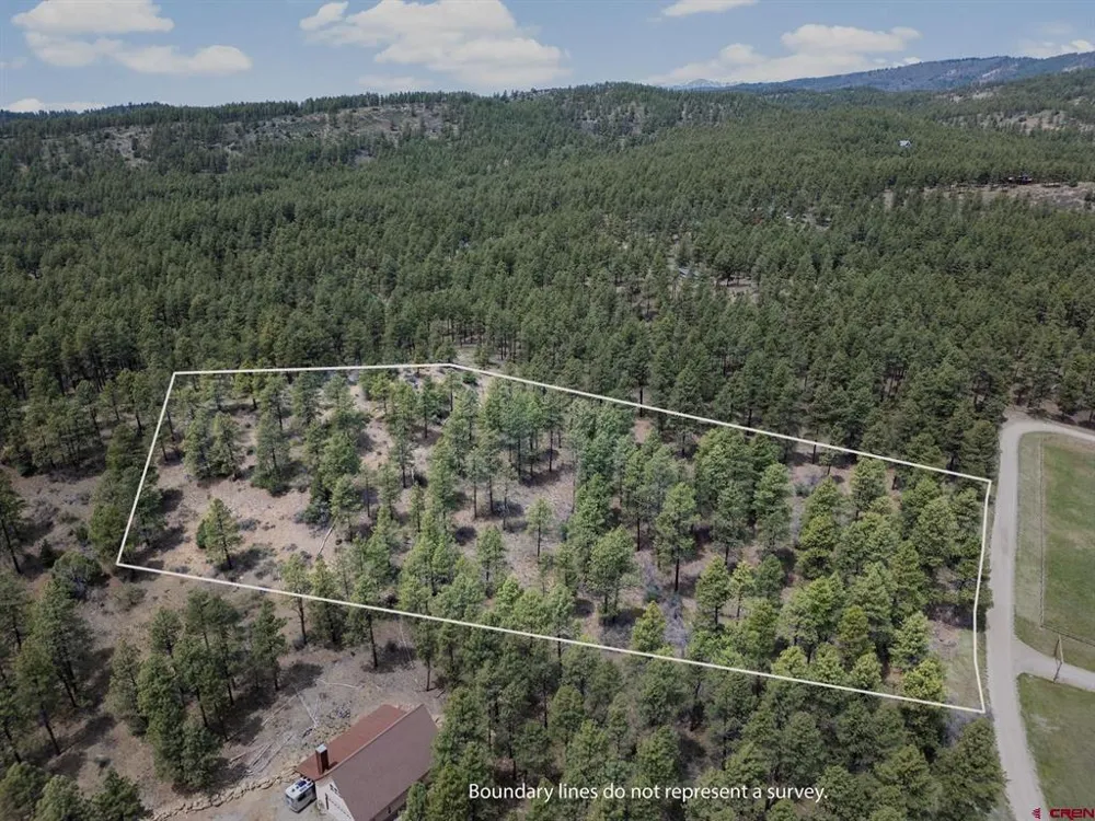 135 Meadow Lane Bayfield, CO 81122