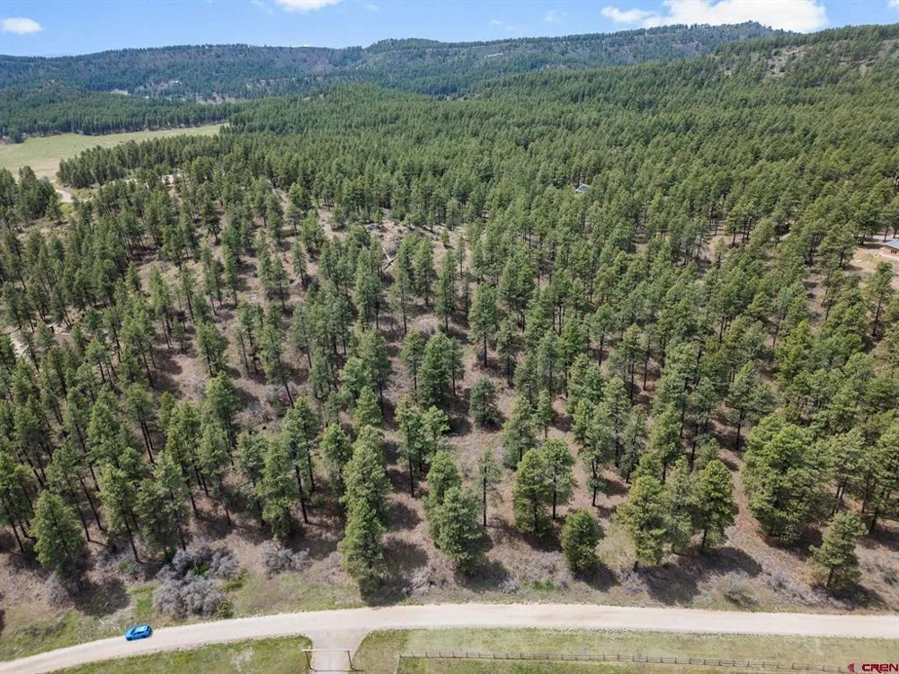 135 Meadow Lane Bayfield, CO 81122