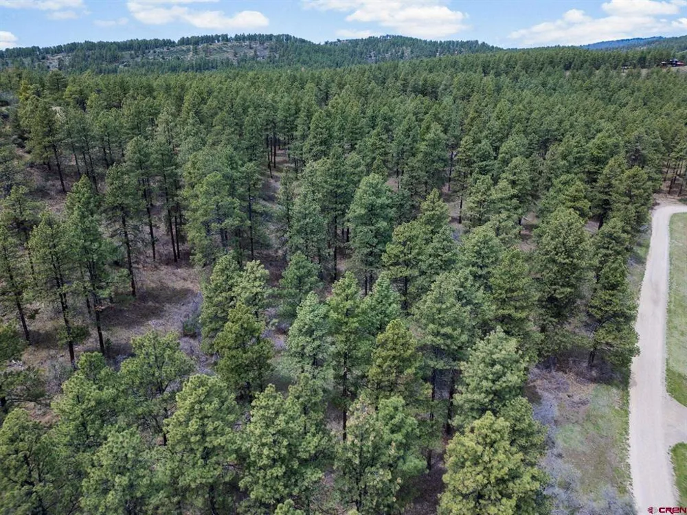 135 Meadow Lane Bayfield, CO 81122