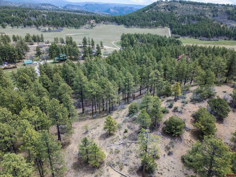 135 Meadow Lane Bayfield, CO 81122