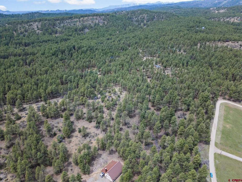 135 Meadow Lane Bayfield, CO 81122