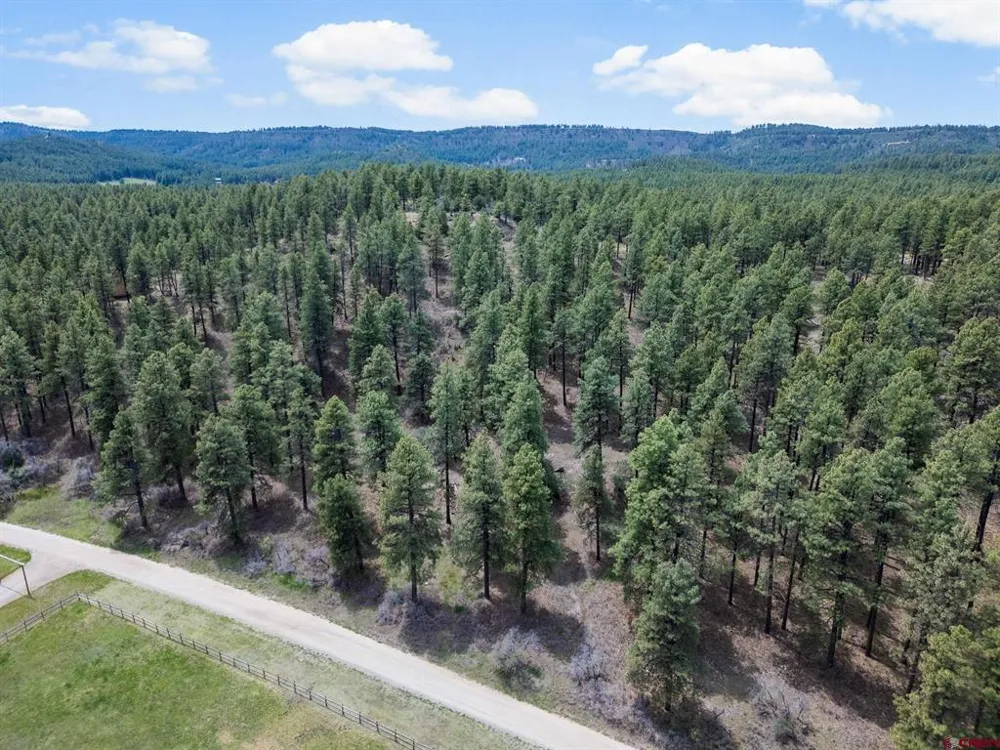 135 Meadow Lane Bayfield, CO 81122
