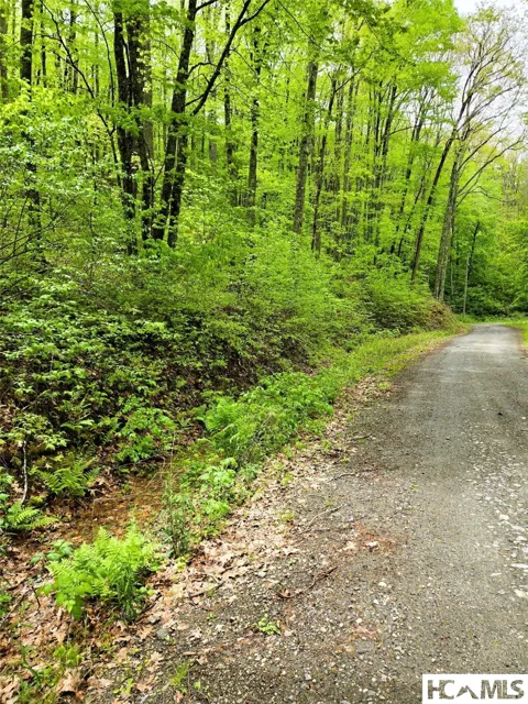 85 Wolf Knob Road