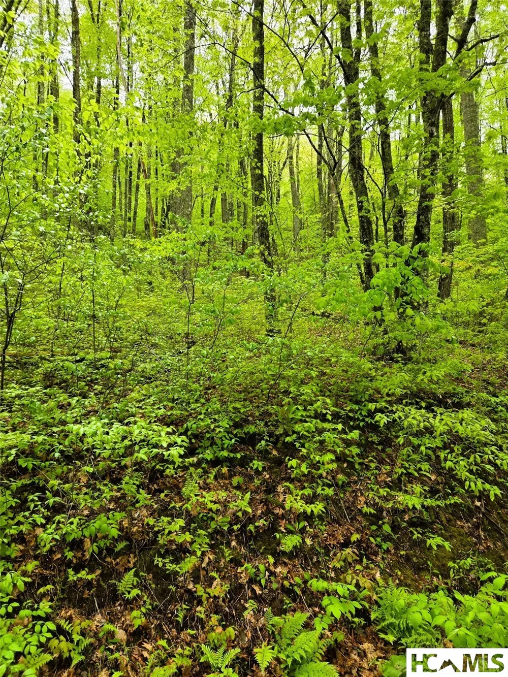85 Wolf Knob Road Cullowhee, NC 28723