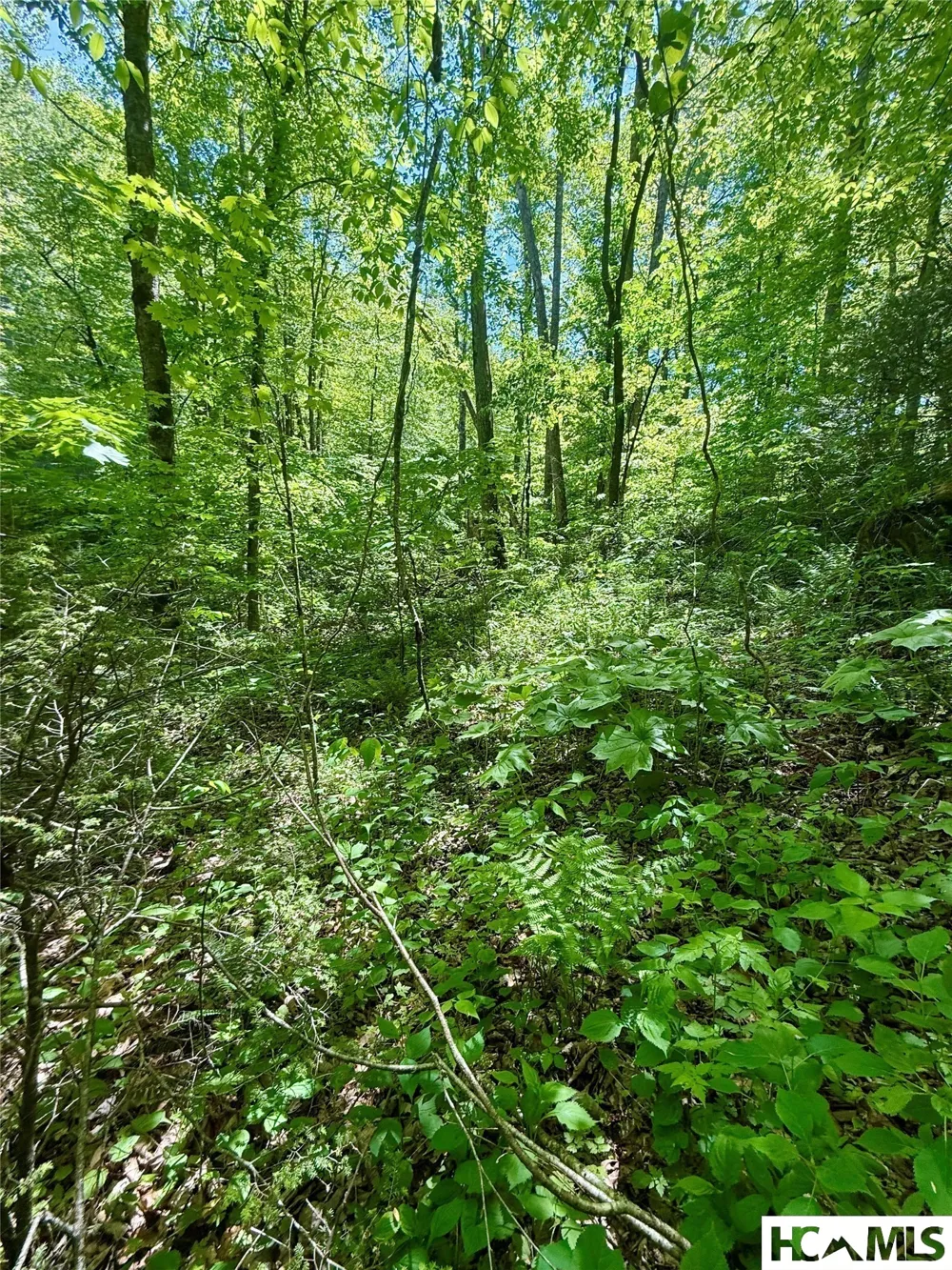 1 Highway 107 Highway Glenville, NC 28736