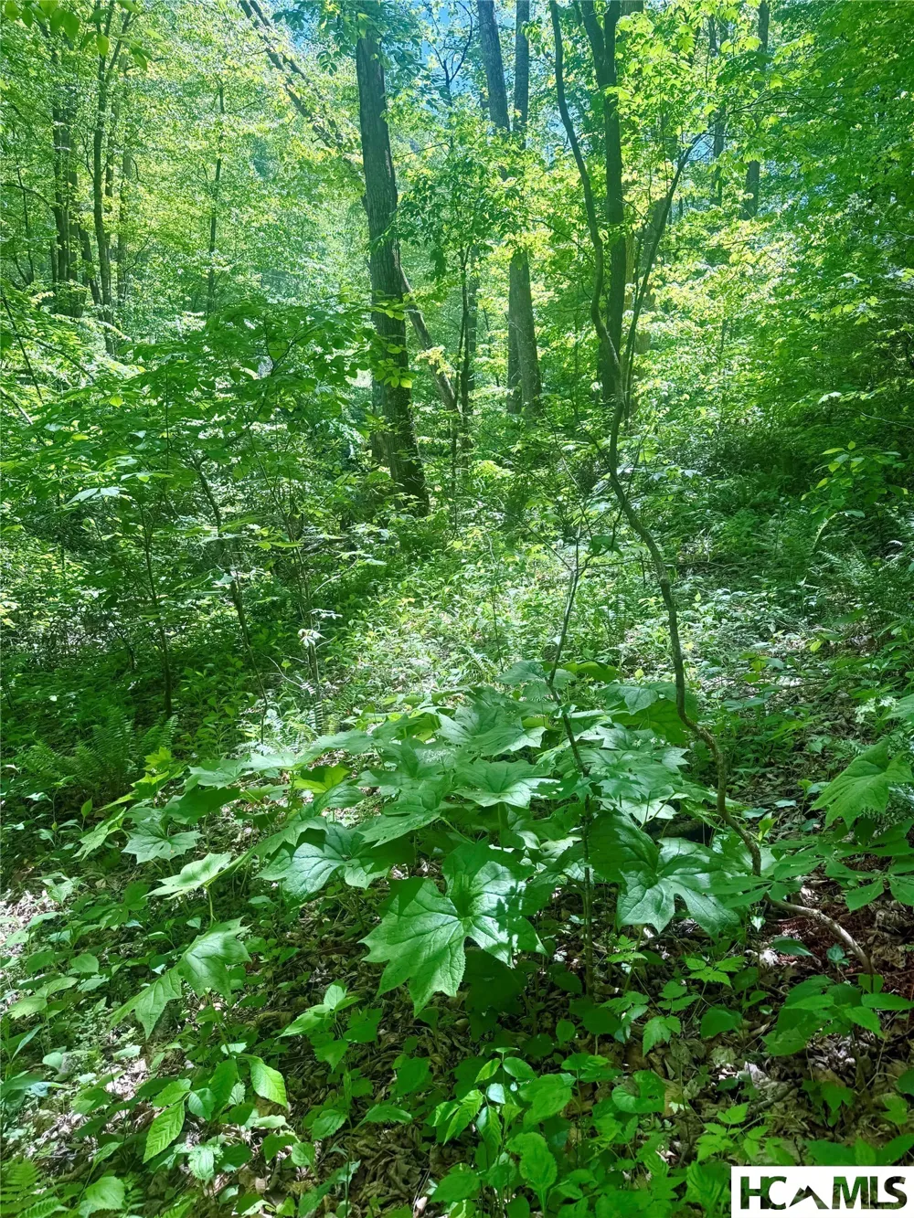 1 Highway 107 Highway Glenville, NC 28736
