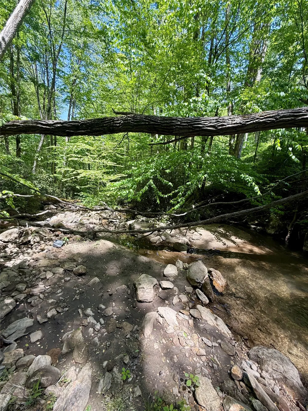 1 Highway 107 Highway Glenville, NC 28736
