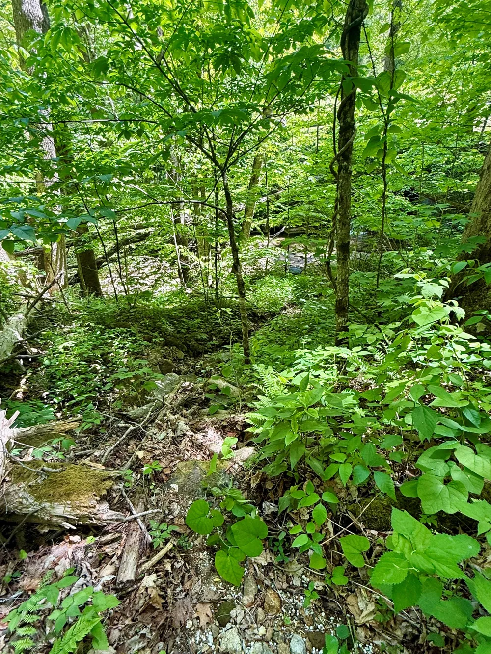 1 Highway 107 Highway Glenville, NC 28736