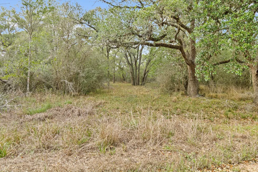 6 Fm 530 Edna, TX 77957