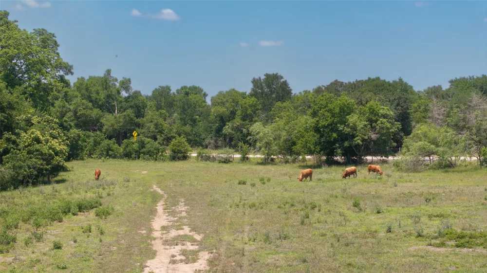 9163 Fm 46 Franklin, TX 77856