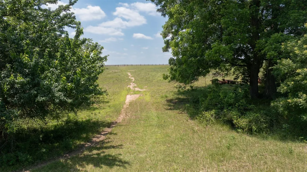 9163 Fm 46 Franklin, TX 77856