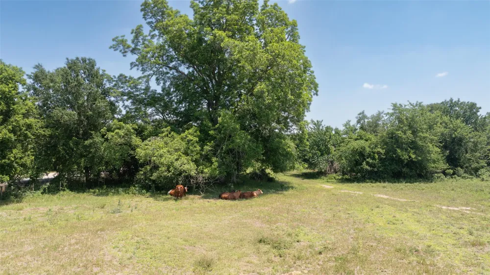 9163 Fm 46 Franklin, TX 77856