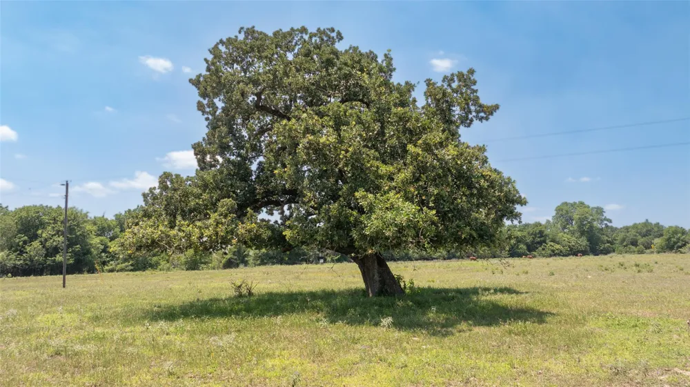 9163 Fm 46 Franklin, TX 77856