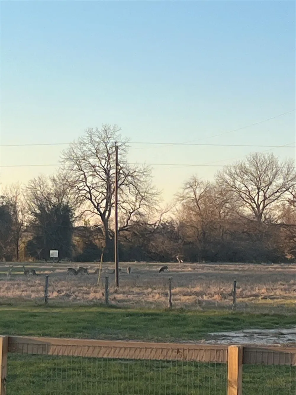 9163 Fm 46 Franklin, TX 77856