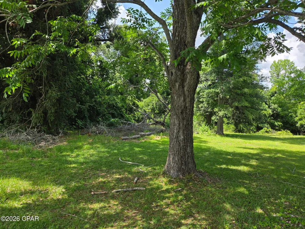 4164 Baltzell Street Marianna, FL 32446