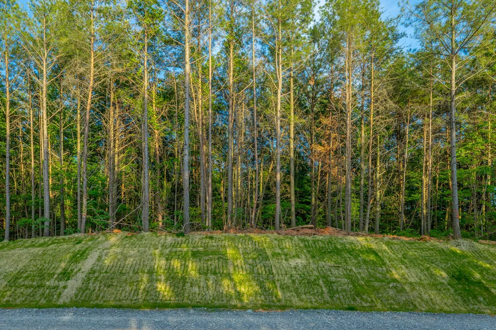 Cannon Way Guild, TN 37340
