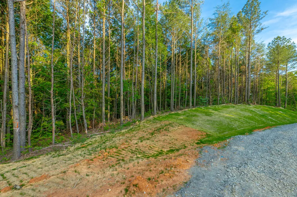 Cannon Way Guild, TN 37340