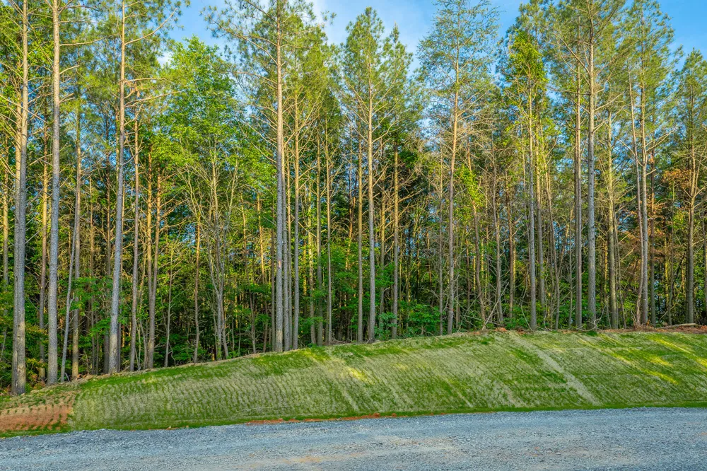 Cannon Way Guild, TN 37340
