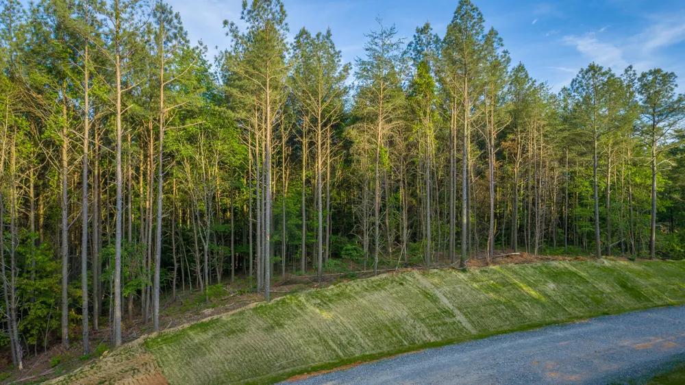 Cannon Way Guild, TN 37340