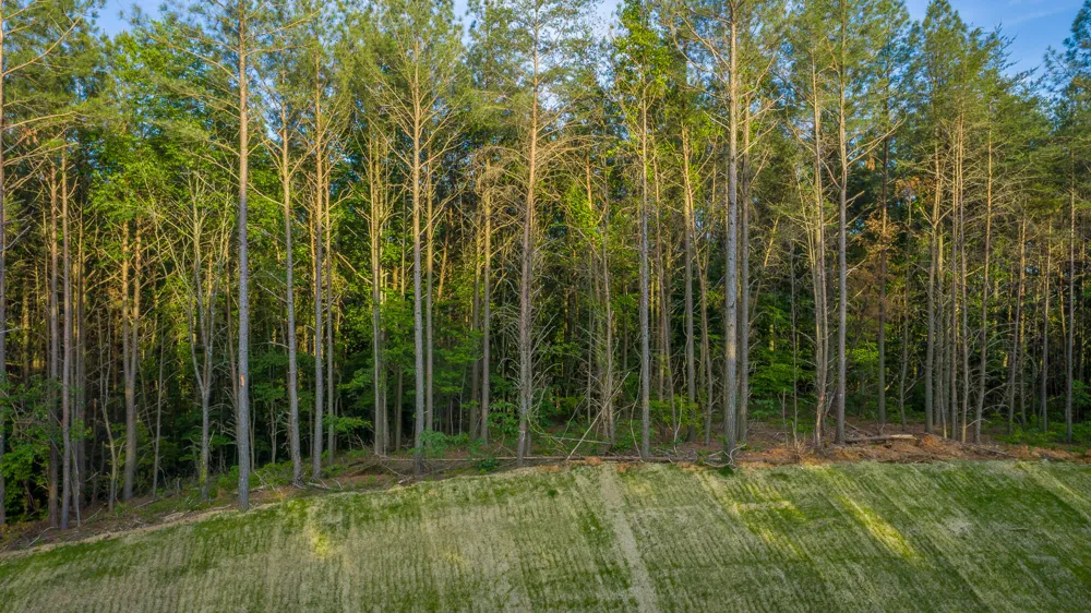 Cannon Way Guild, TN 37340