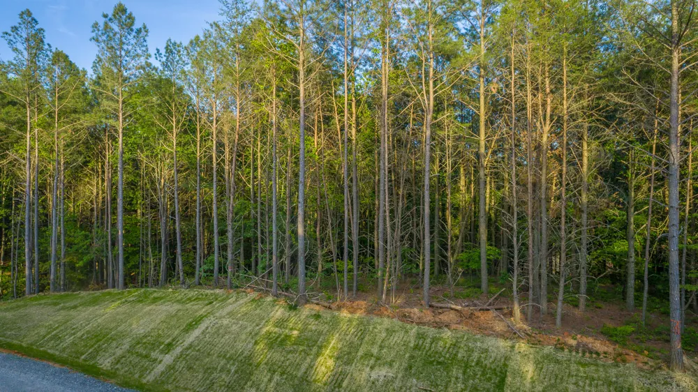 Cannon Way Guild, TN 37340