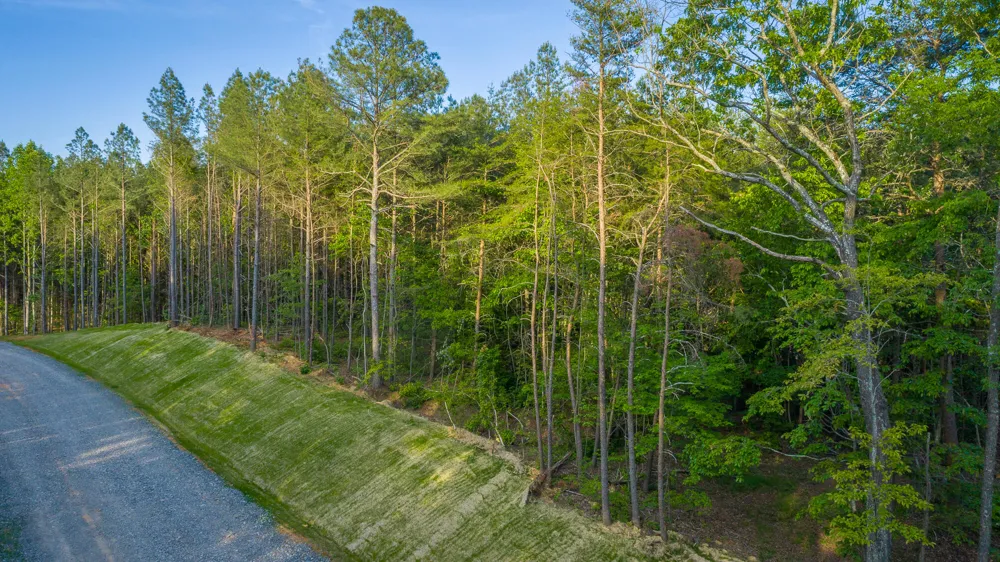 Cannon Way Guild, TN 37340