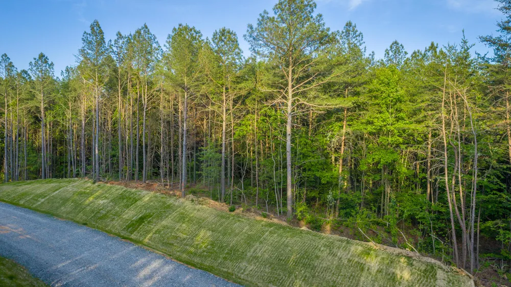 Cannon Way Guild, TN 37340