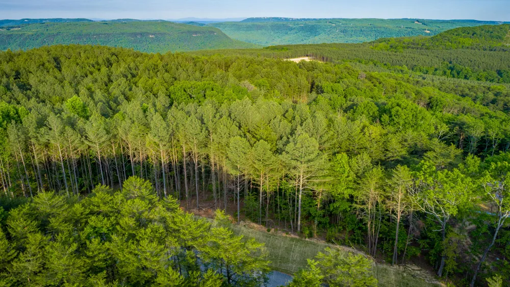 Cannon Way Guild, TN 37340
