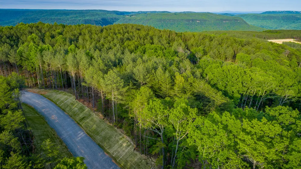 Cannon Way Guild, TN 37340