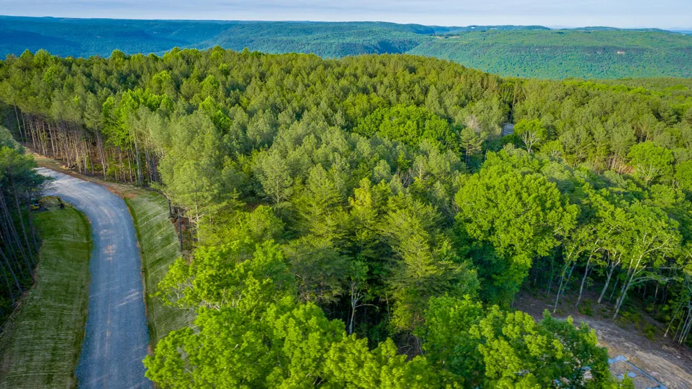Cannon Way Guild, TN 37340