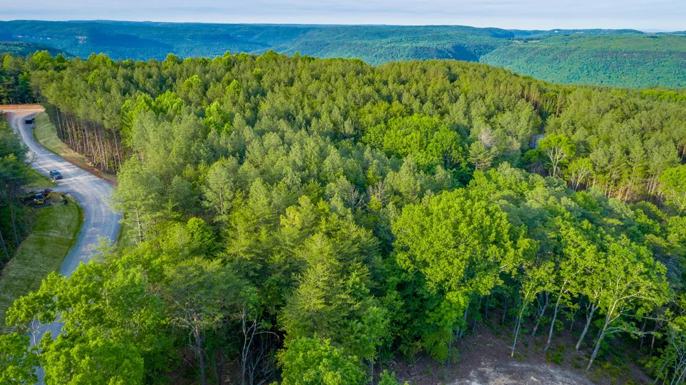 Cannon Way Guild, TN 37340