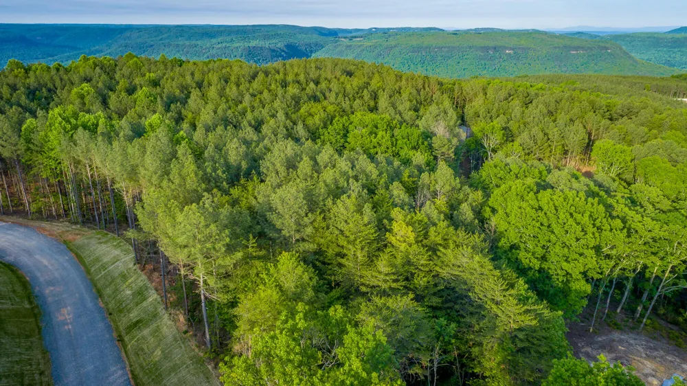 Cannon Way Guild, TN 37340