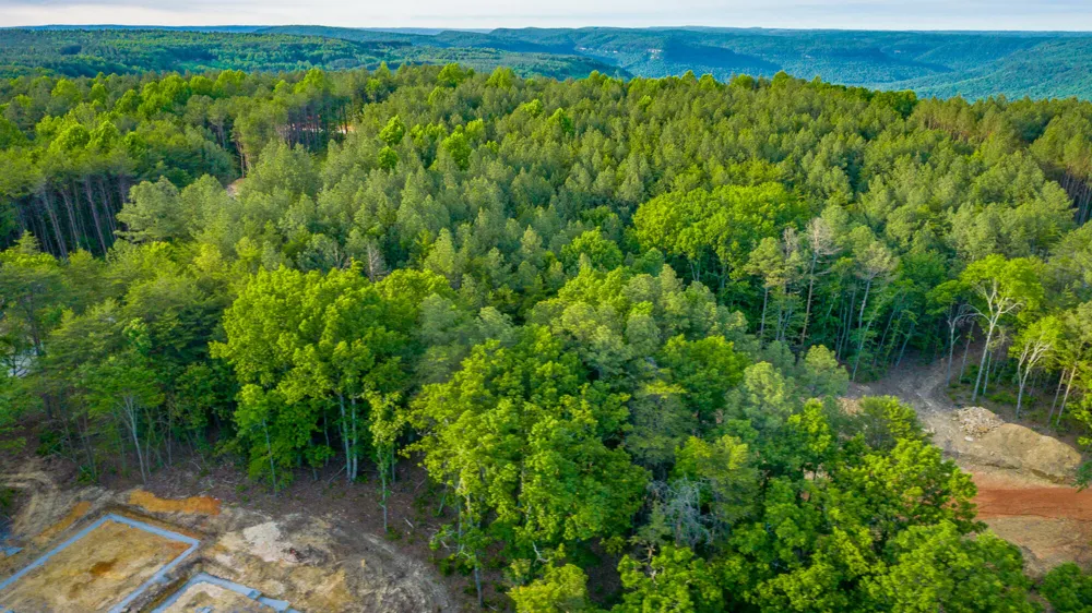 Cannon Way Guild, TN 37340