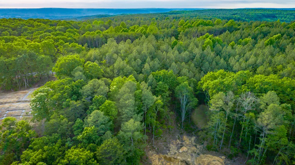 Cannon Way Guild, TN 37340