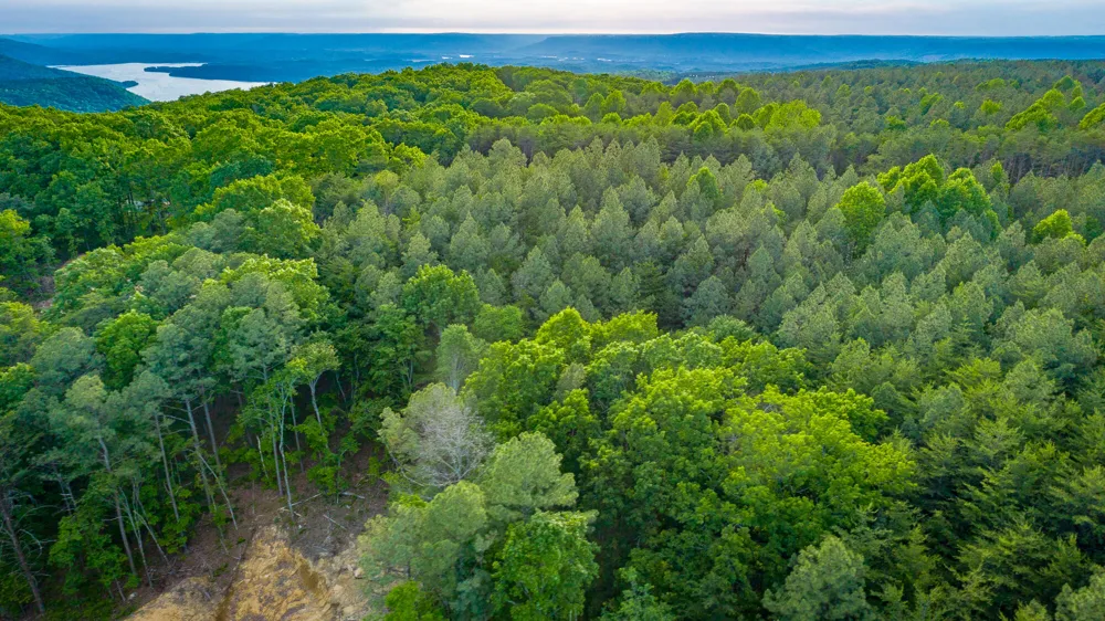 Cannon Way Guild, TN 37340