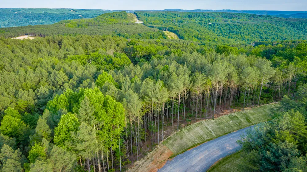 Cannon Way Guild, TN 37340